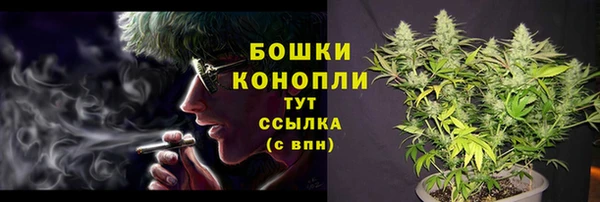 jwh Бородино