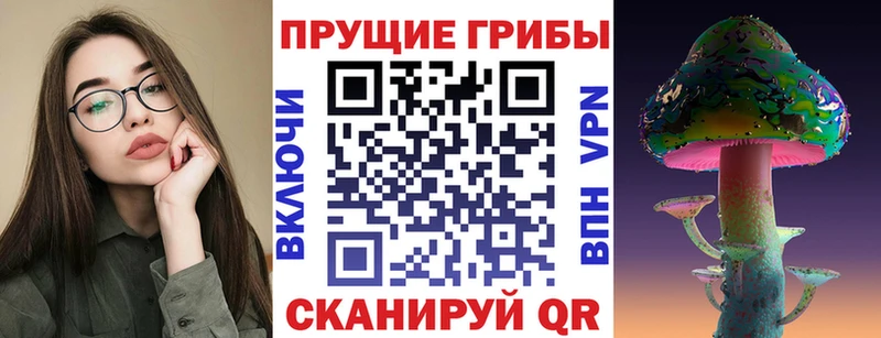Галлюциногенные грибы Magic Shrooms Химки